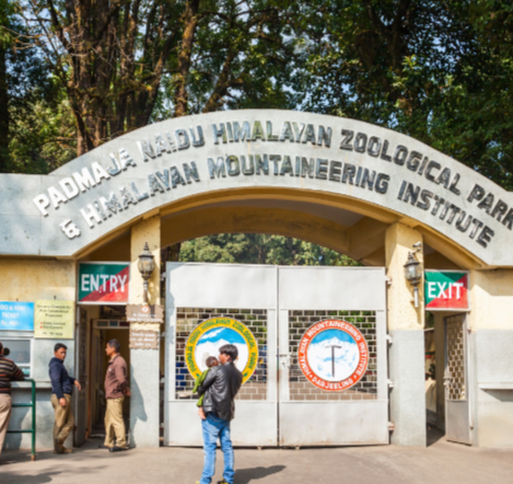 Sewa Mobil di Jakarta? Hastin Rental Solusi Terbaik Anda!